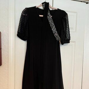Basic Black Dress...V neck and no waistline